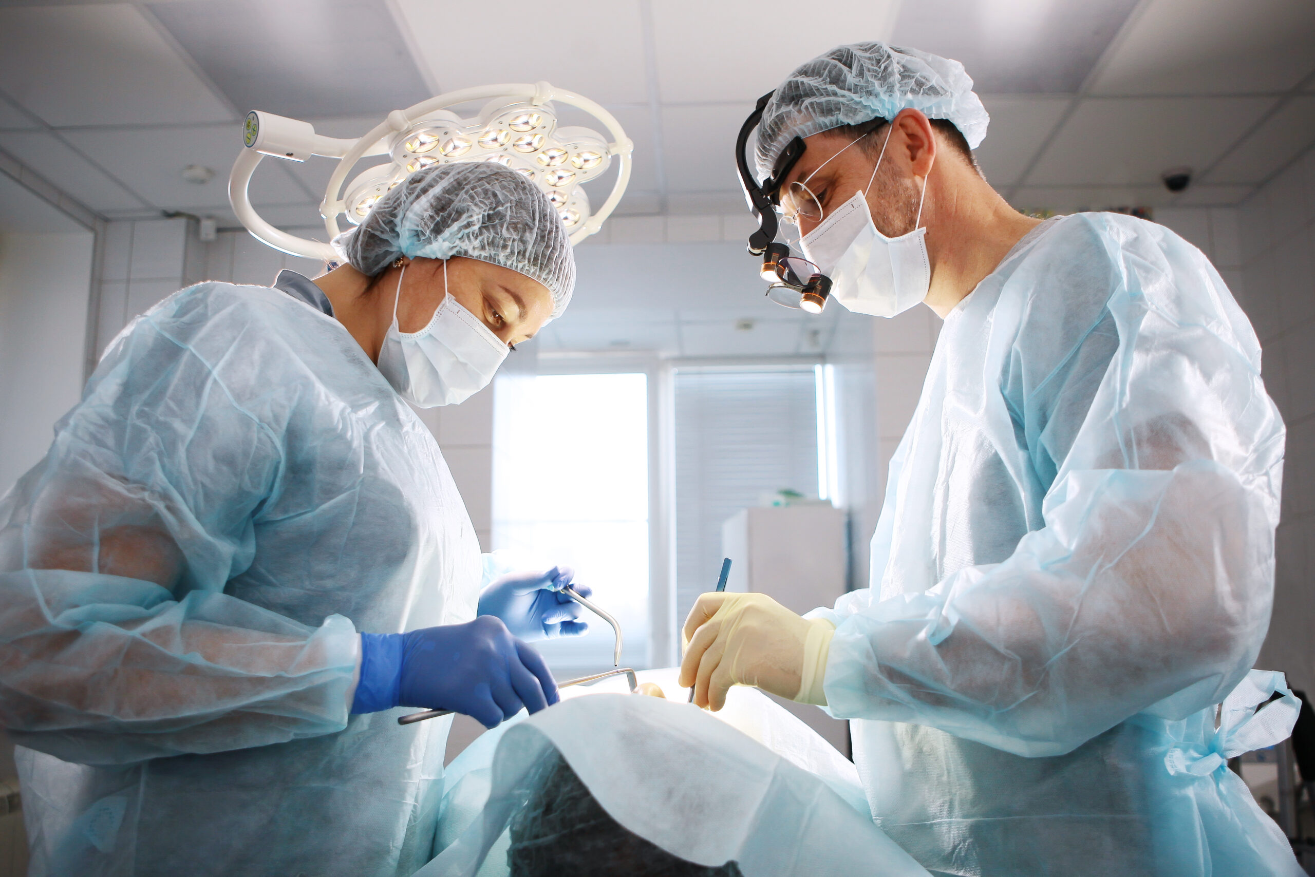 dentiste soins dentaires complets scaled Pose d'un implant dentaire : le jour J Apolline Dental Care | Cabinet Dentaire Spécialisé
